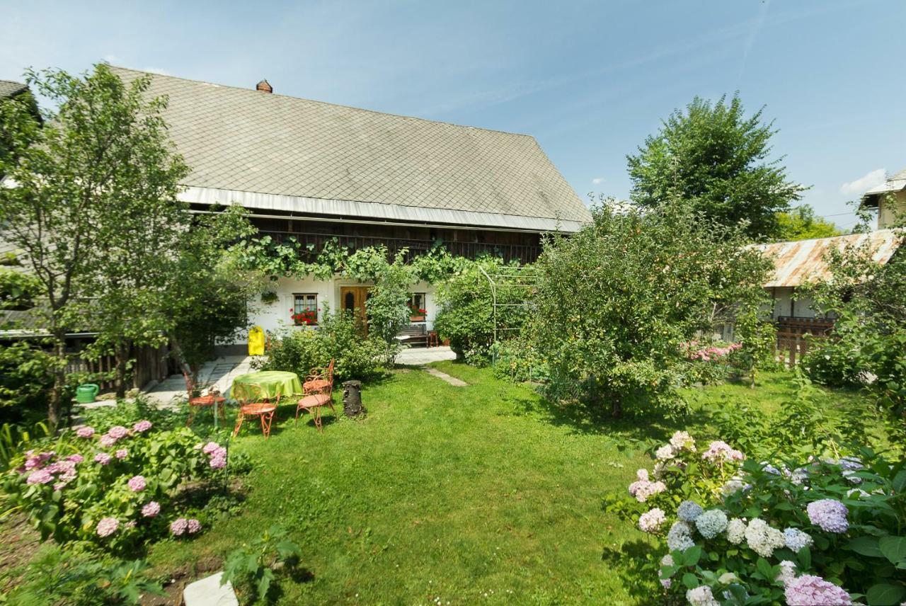 House, Garden And A Green Cat Bled Exterior foto